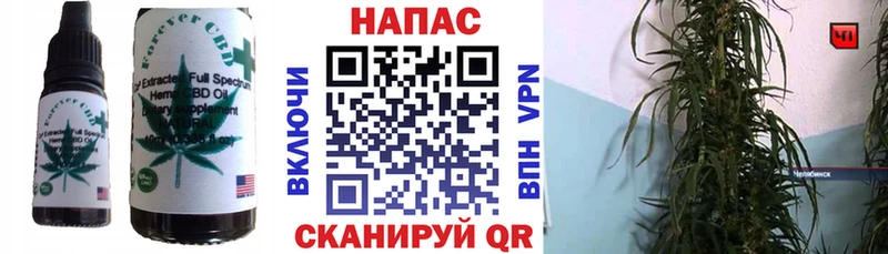купить наркотик Лосино-Петровский mega рабочий сайт Canna-Cookies конопля