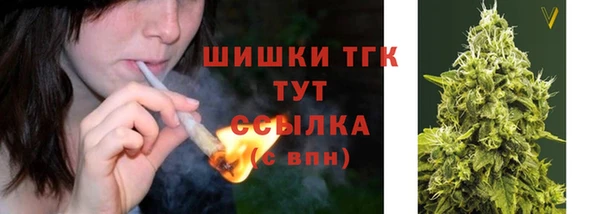 твердый Абаза