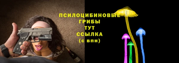 молекула духа Абинск