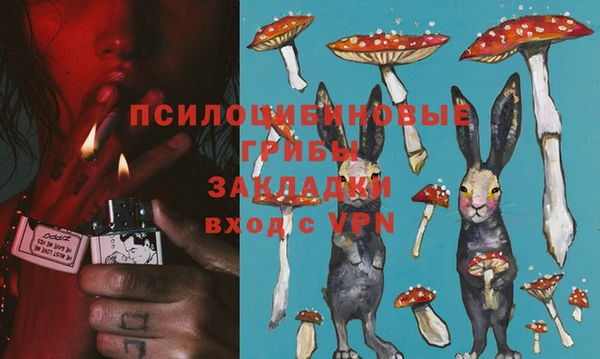 твердый Абаза