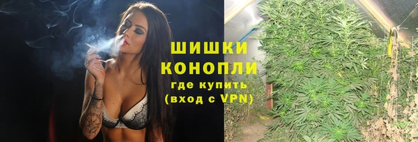 твердый Абаза