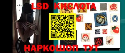 герыч Кингисепп