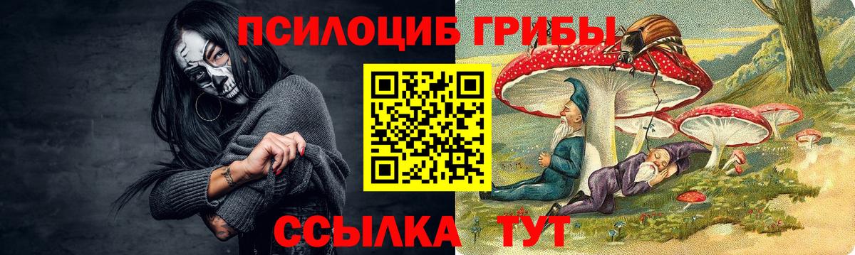 Лосино-Петровский  Галлюциногенные грибы Psilocybe  Вход с VPN 