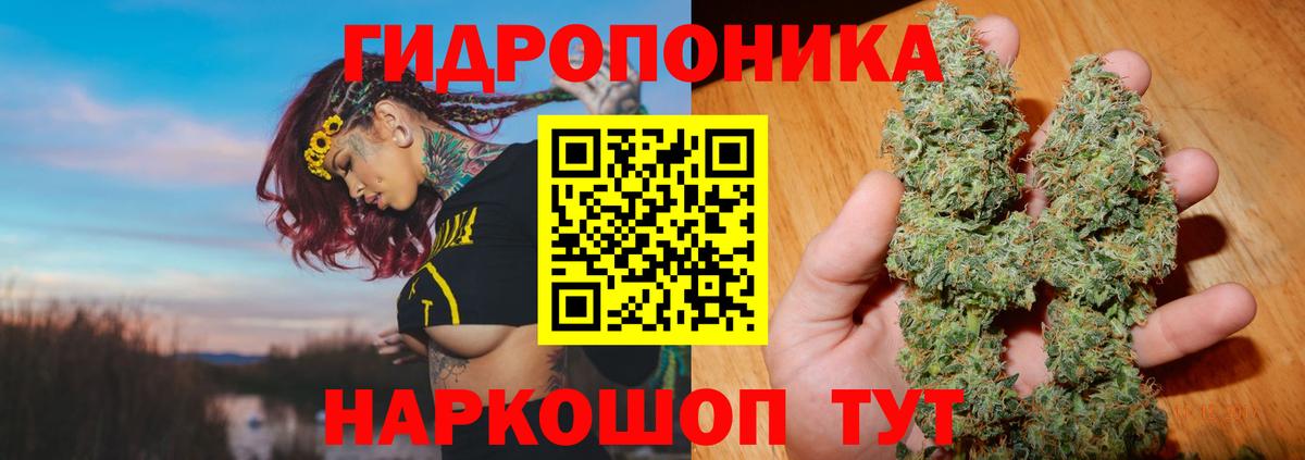 Шишки марихуана THC 21% Лосино-Петровский